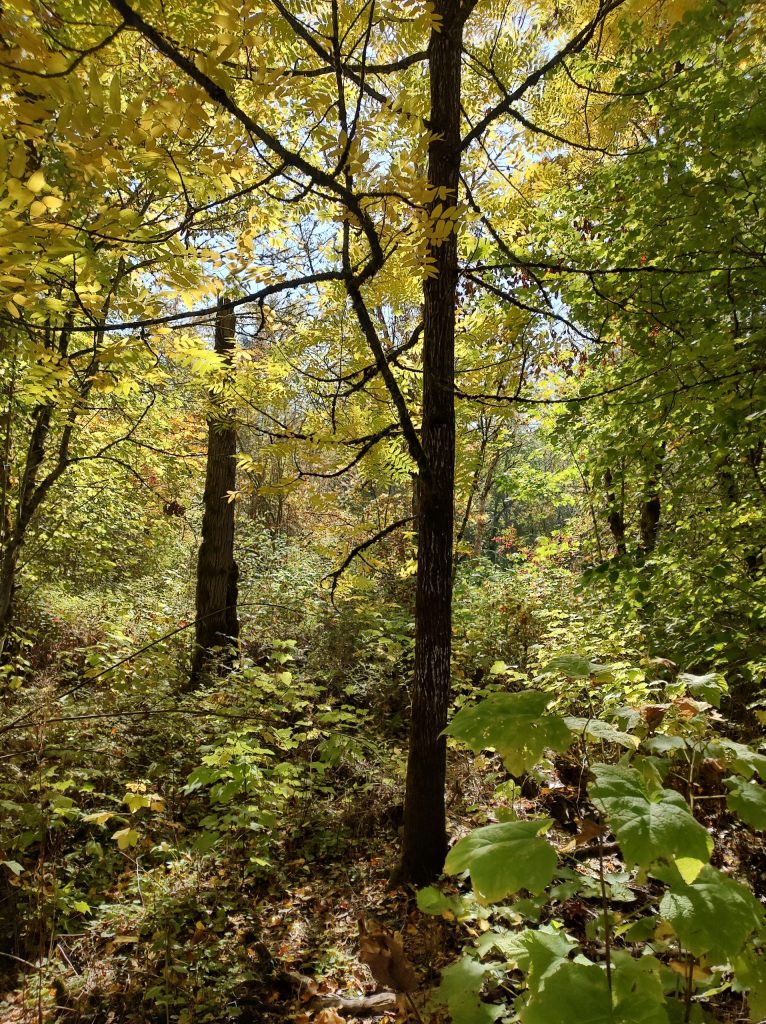 Img 20251021 134232042 hdr